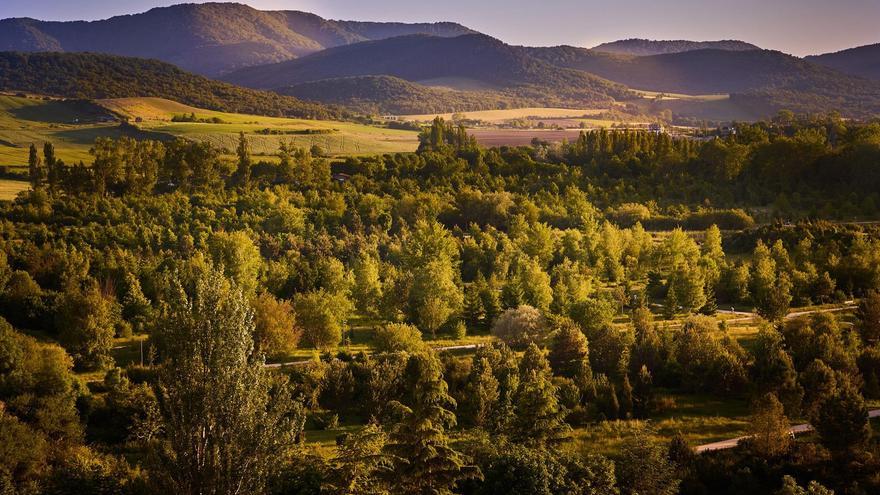 Lorategi Botaniko Iberiar-Makaronesiar Elkartearen biltzarra egingo da aste honetan Gasteizen