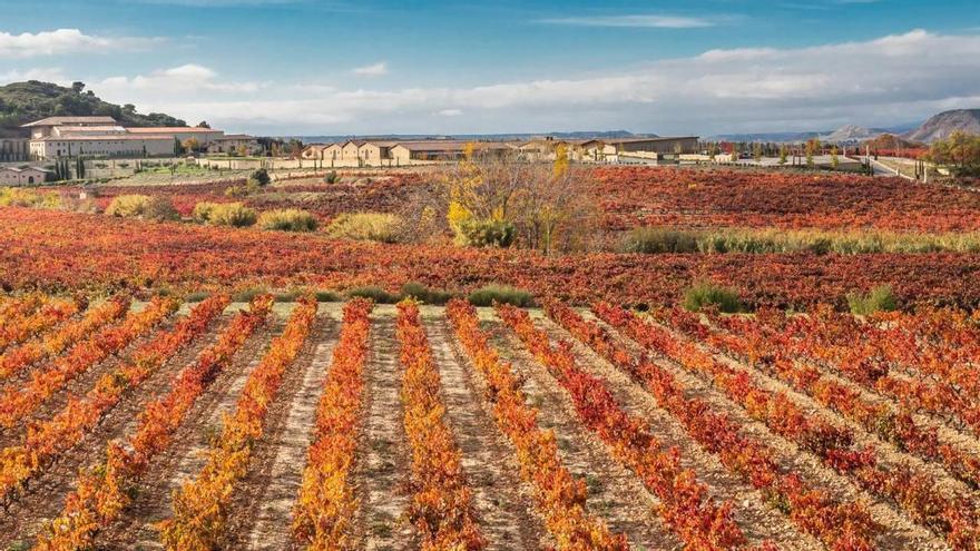 Una bodega a una hora de Pamplona entre las tres mejores del mundo, según Forbes