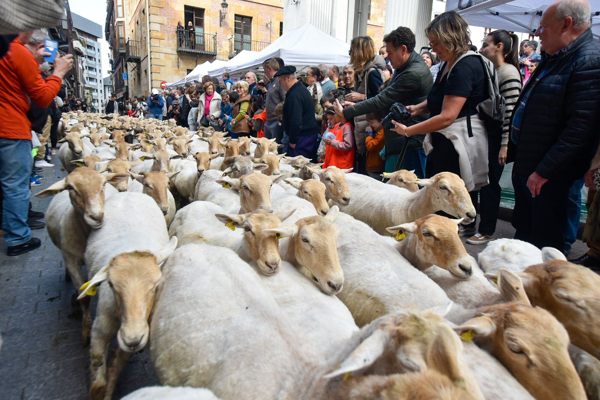 En imágenes: Edorta Lamo, protagonista del Artzain Eguna celebrado en Ordizia