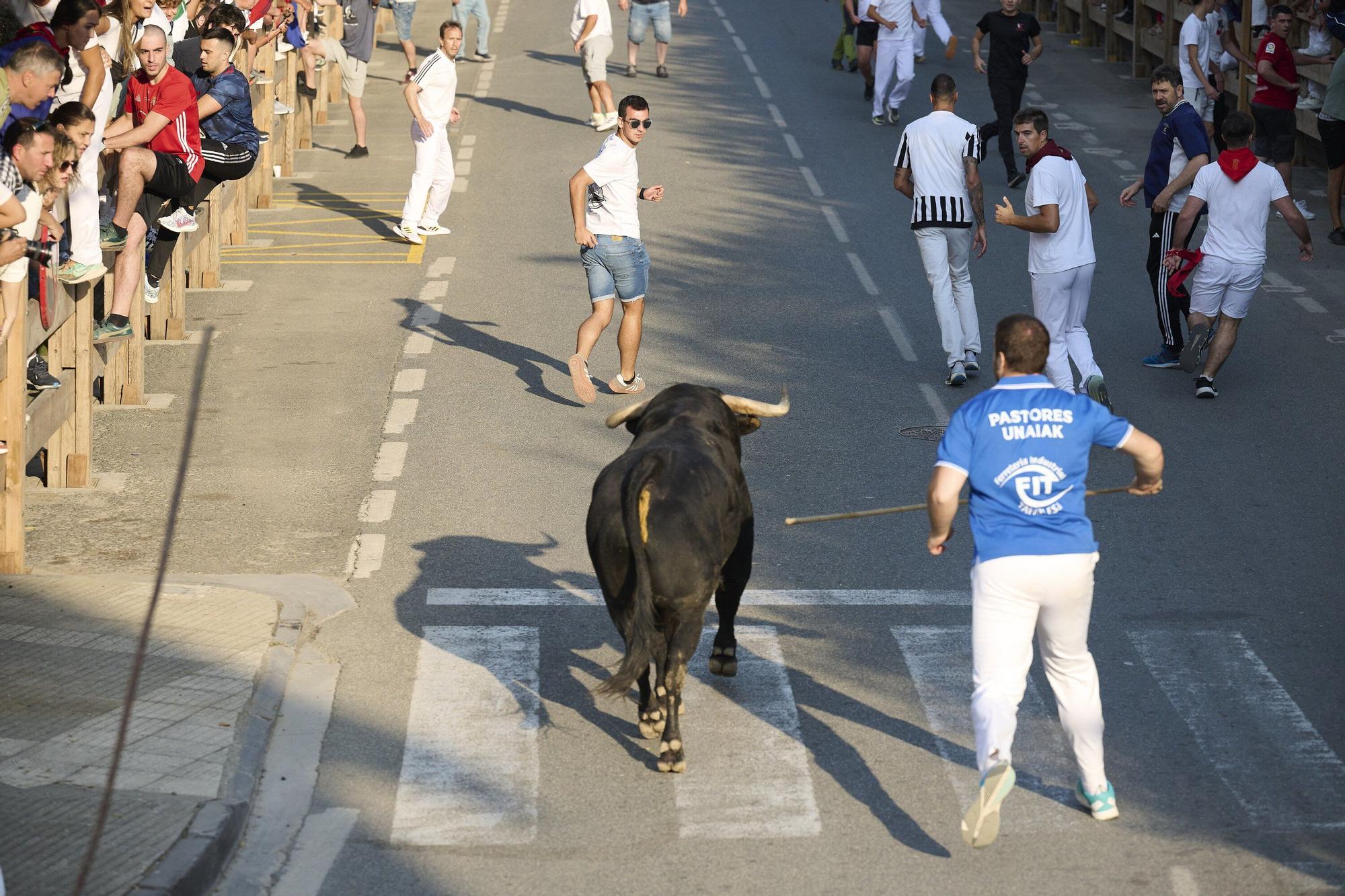 Fotos del primer encierro de fiestas de Tafalla