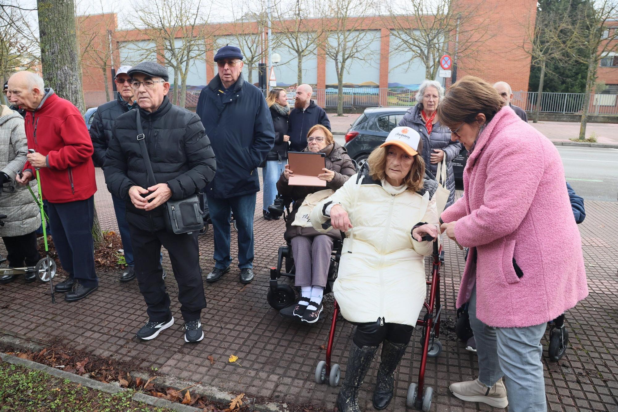 En imágenes: Un árbol para 25 años de lucha contra el párkinson en Vitoria