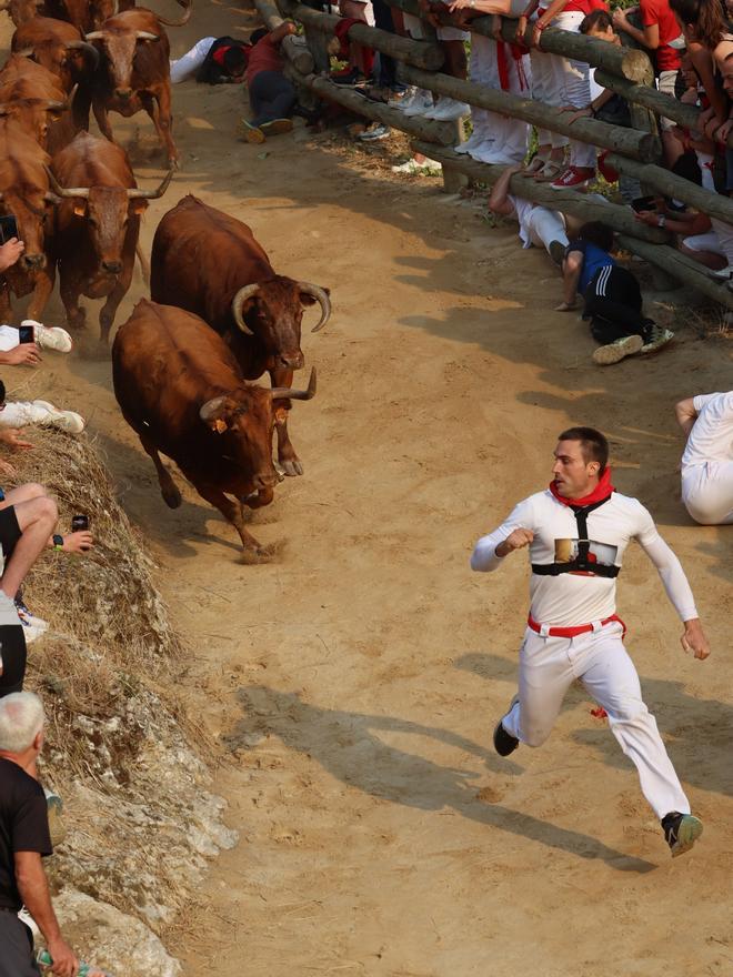 Fotos del primen encierro del Pilón en Falces 2025