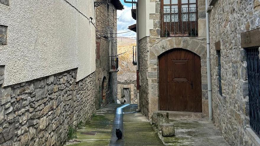 “Combatir la despoblación en Navarra no es llenar pueblos, sino garantizar oportunidades”