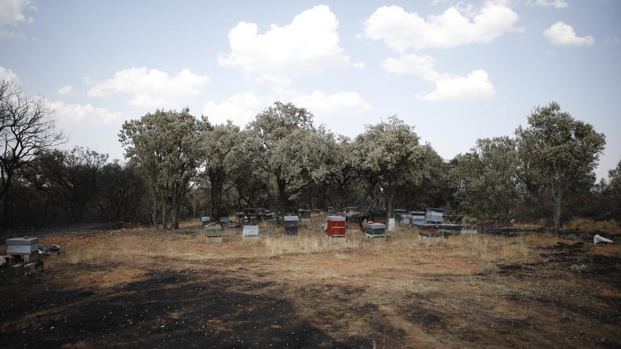 El incendio de Zamora puede ser el peor en España desde que hay registros