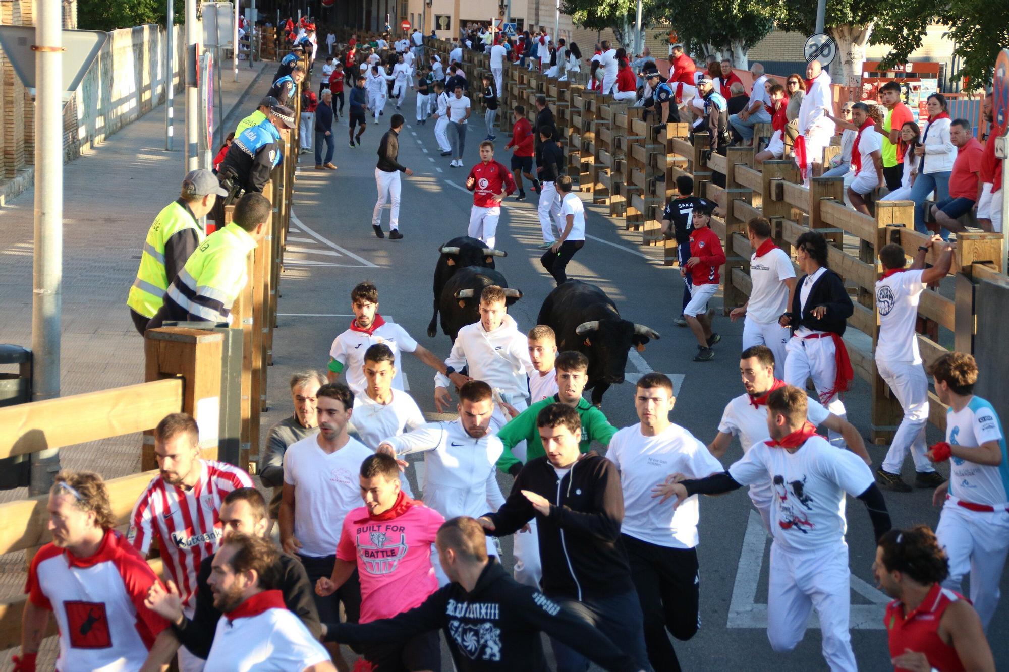 Fotos del quinto encierro de las fiestas de Tudela 2025