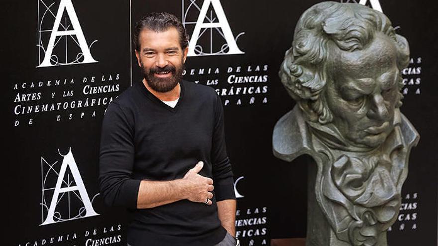 Antonio Banderas recibe el Goya de Honor como &quot;recompensa y estímulo&quot;