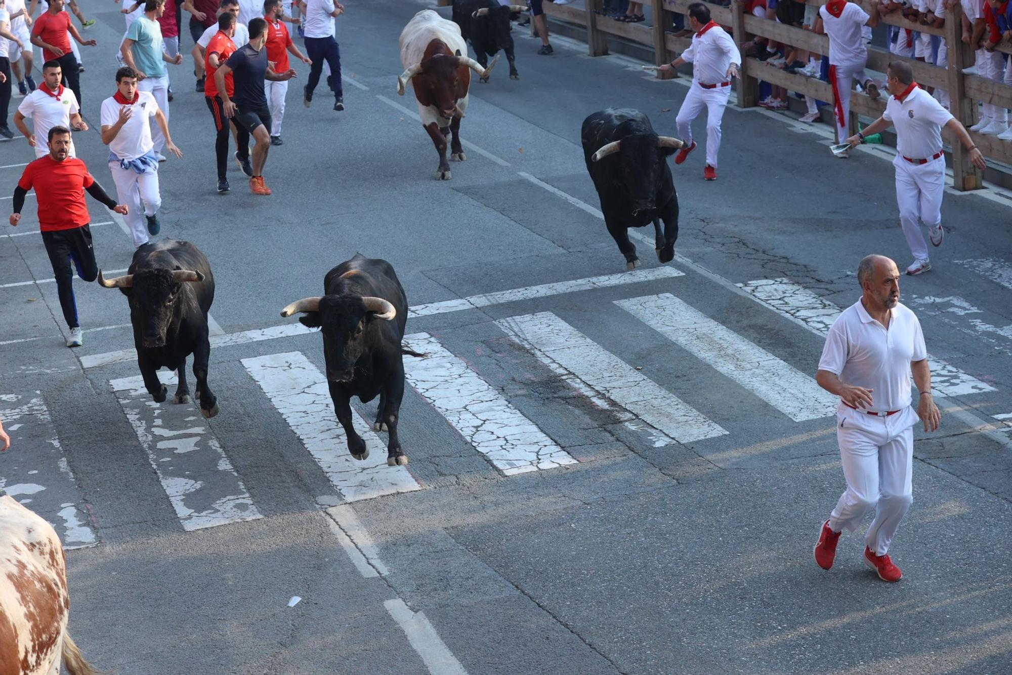 Fotos del segundo encierro de fiestas de Tafalla 2025