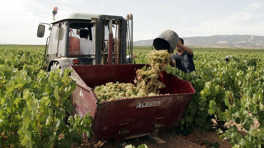 Agroseguro indemniza con 4,77 millones al campo alavés