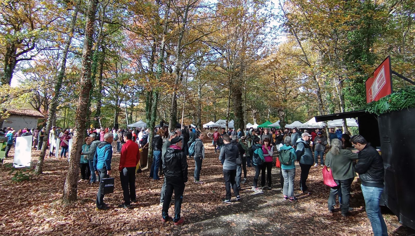 Mañana de castañas en Jauntsarats