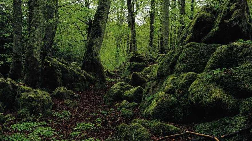Imagen de la Sierra de Urbasa.