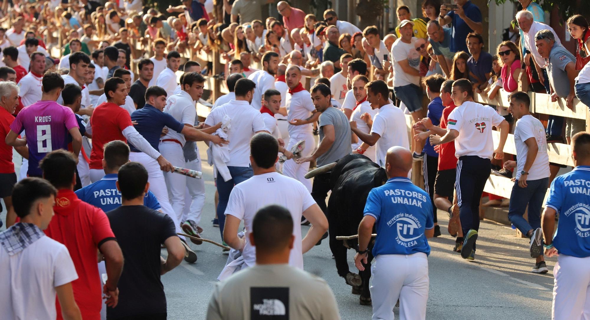 Fotos del primer encierro de fiestas de Tafalla