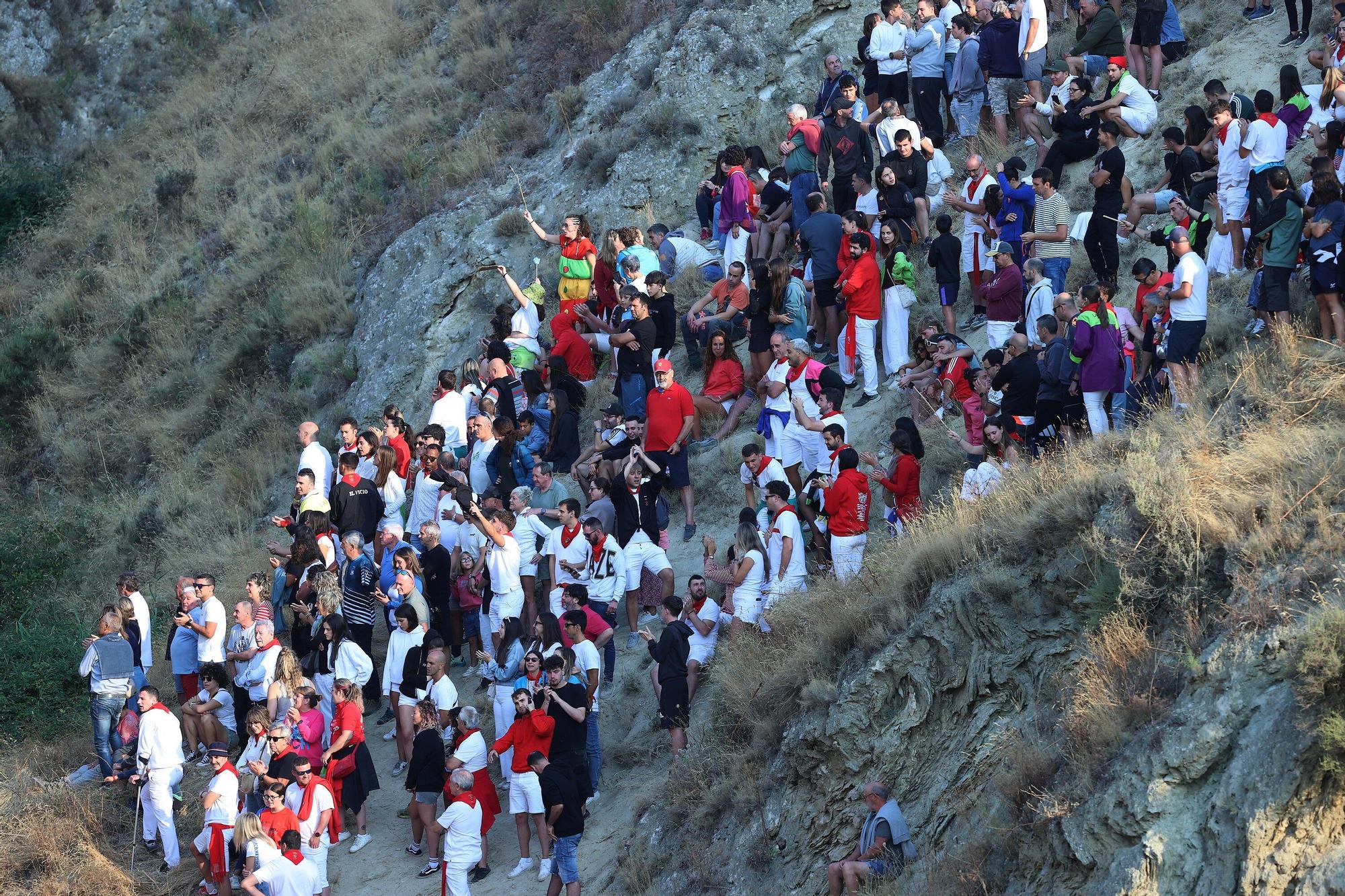 Fotos del último encierro del Pilón de Falces 2025