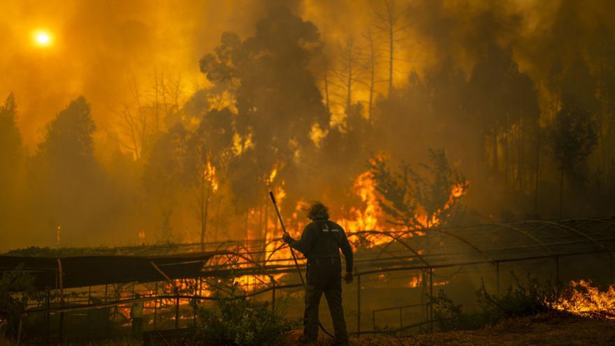 La línea de alta velocidad entre Madrid y Galicia continúa suspendida por los incendios