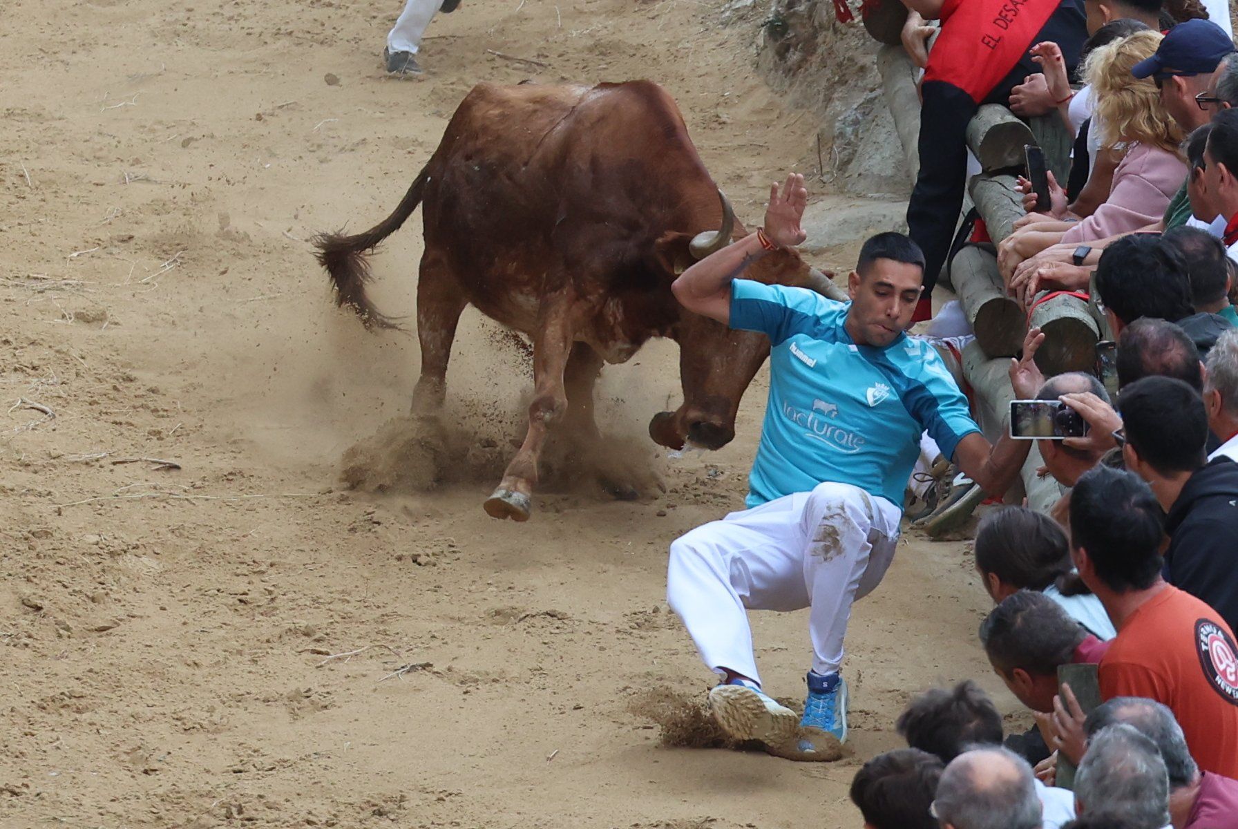 Fotos del tercer encierro del Pilón de Falces 2025