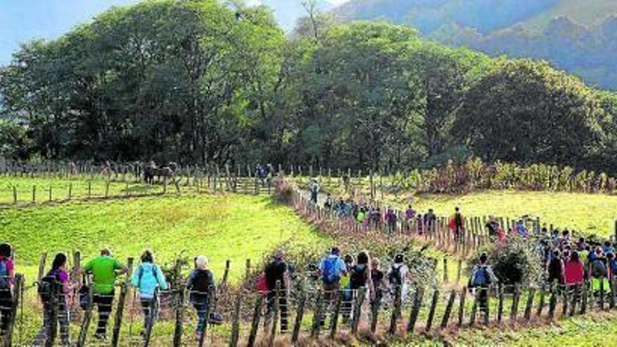 Un conjuro para el camino