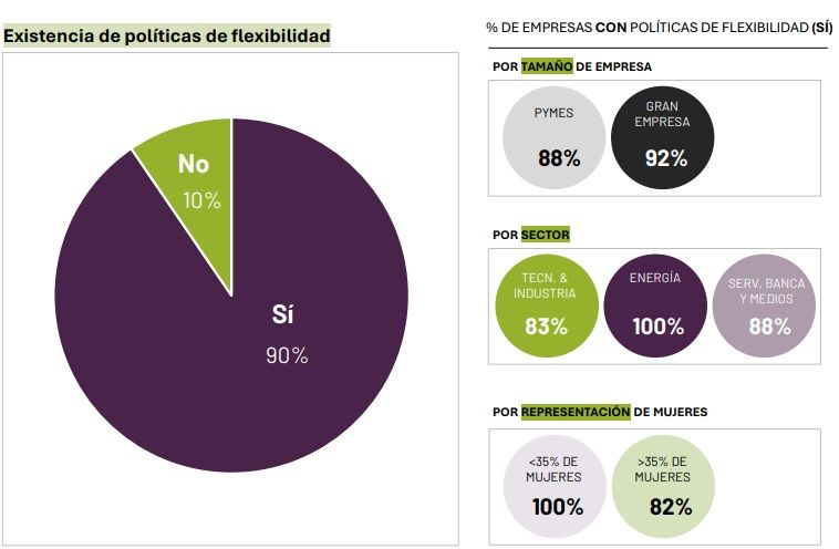 Existencia de políticas de flexibilidad