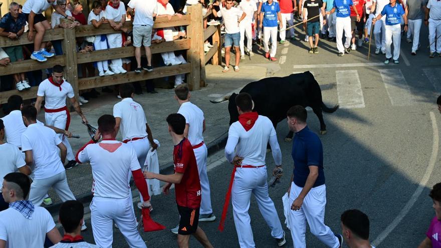 Un toro vuelto alarga el primer encierro de Tafalla