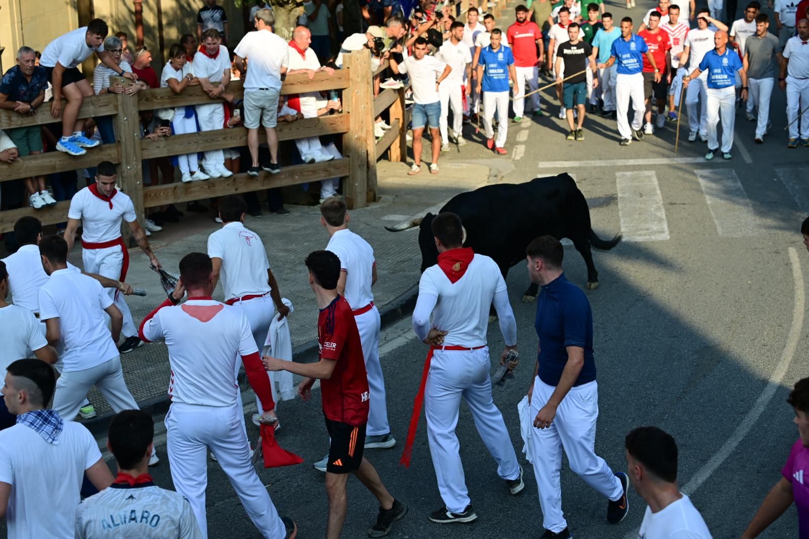 Fotos del primer encierro de fiestas de Tafalla