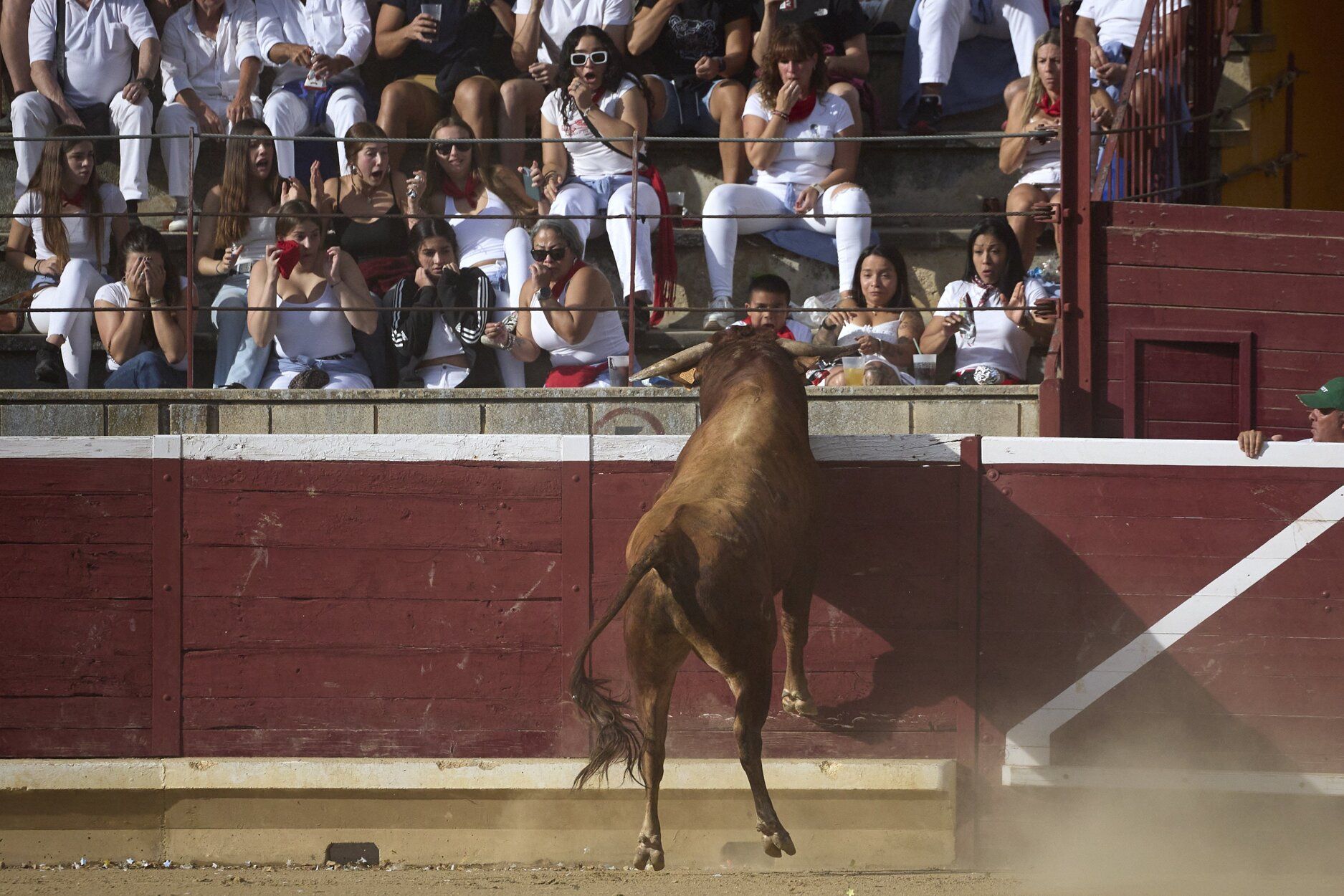 Fotos del concurso de recortadores de fiestas de Tafalla