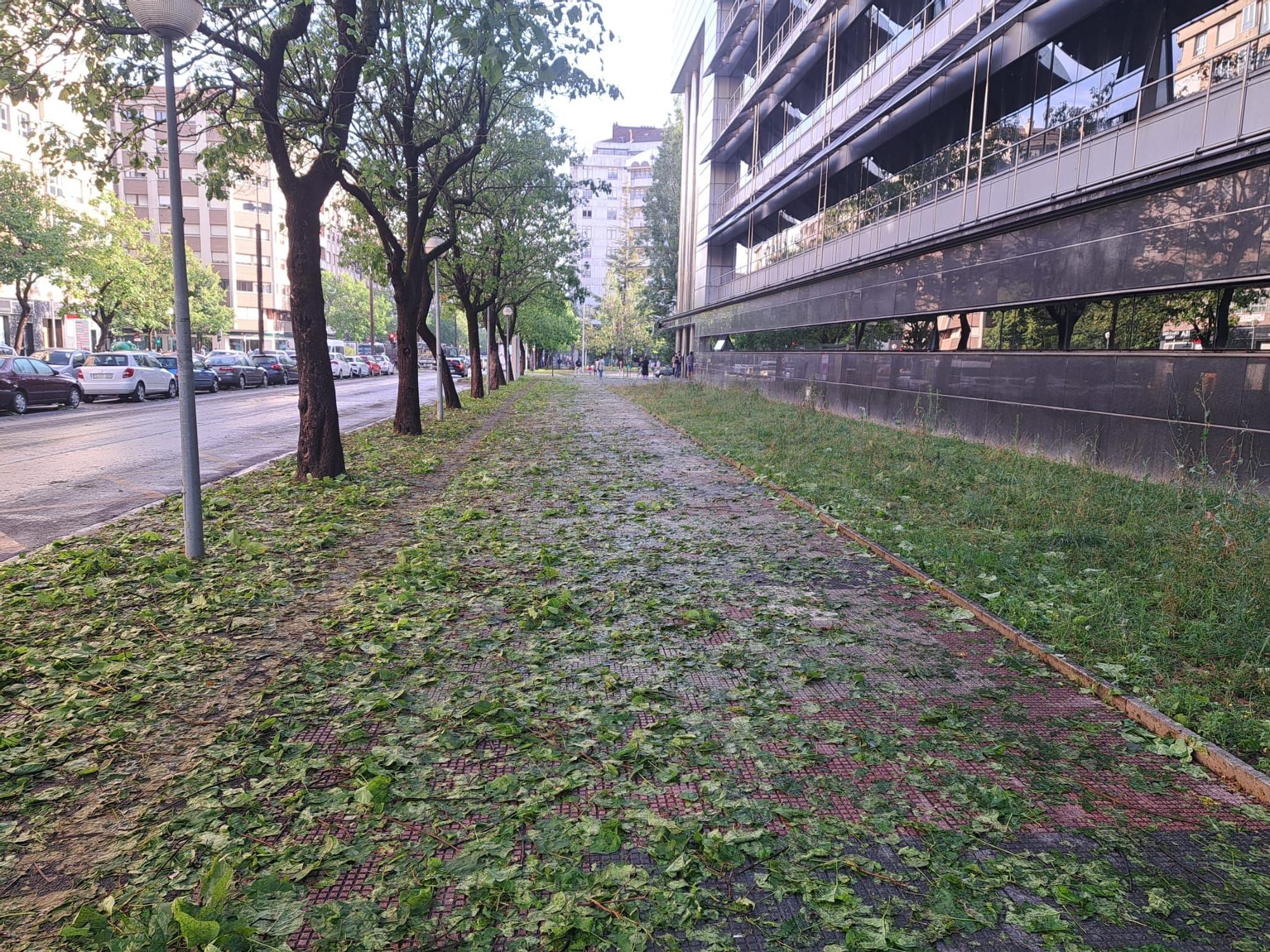 En imágenes: Así ha amanecido Vitoria