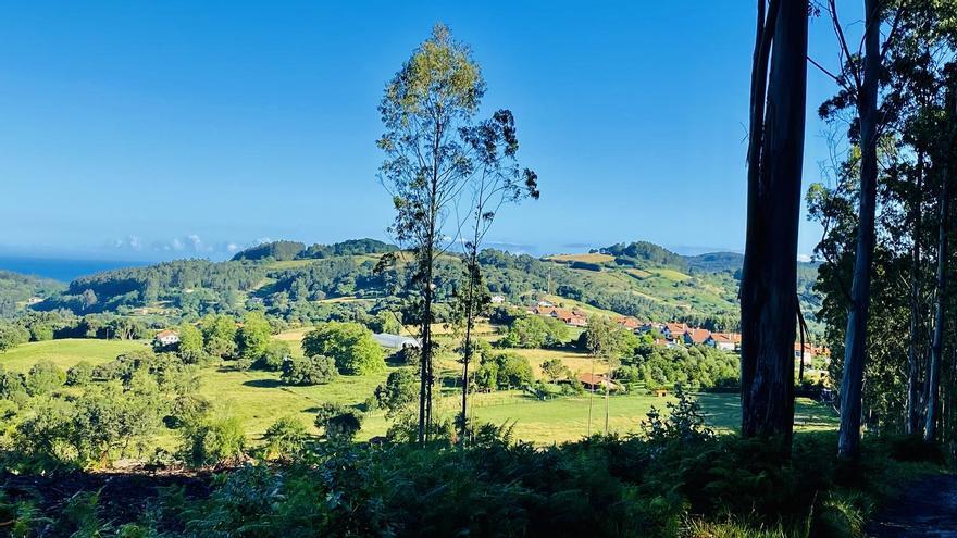 Gorliz retoma las rutas circulares