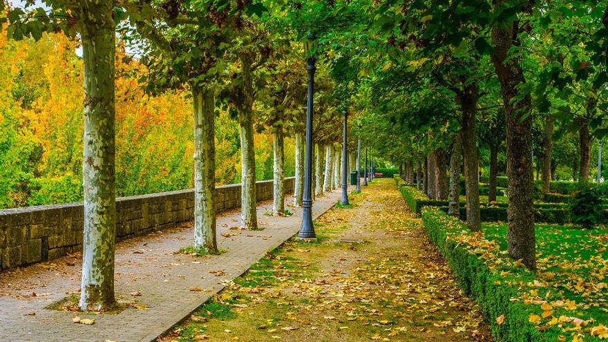 El cuidado de los jardines y la limpieza de las calles, los problemas que más preocupan a los pamploneses