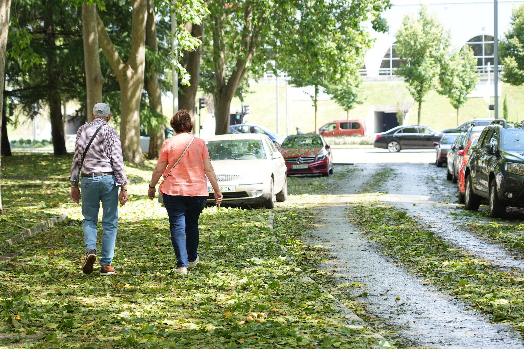 En imágenes: Así ha amanecido la capital alavesa tras la espectacular granizada