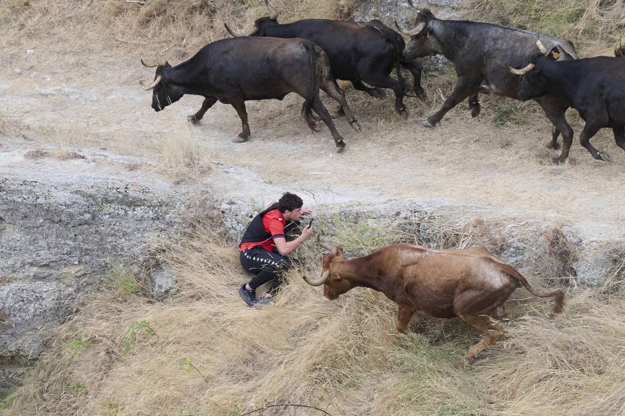 Fotos del tercer encierro del Pilón de Falces 2025