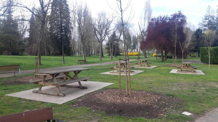Vitoria tendrá más árboles en colegios y parques infantiles para combatir el calor