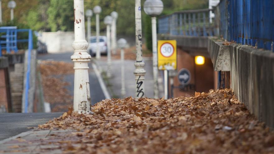 Vitoria ha recogido este verano más de 42 toneladas de hojas de árboles, lo que ha &quot;desbordado&quot; los servicios existentes