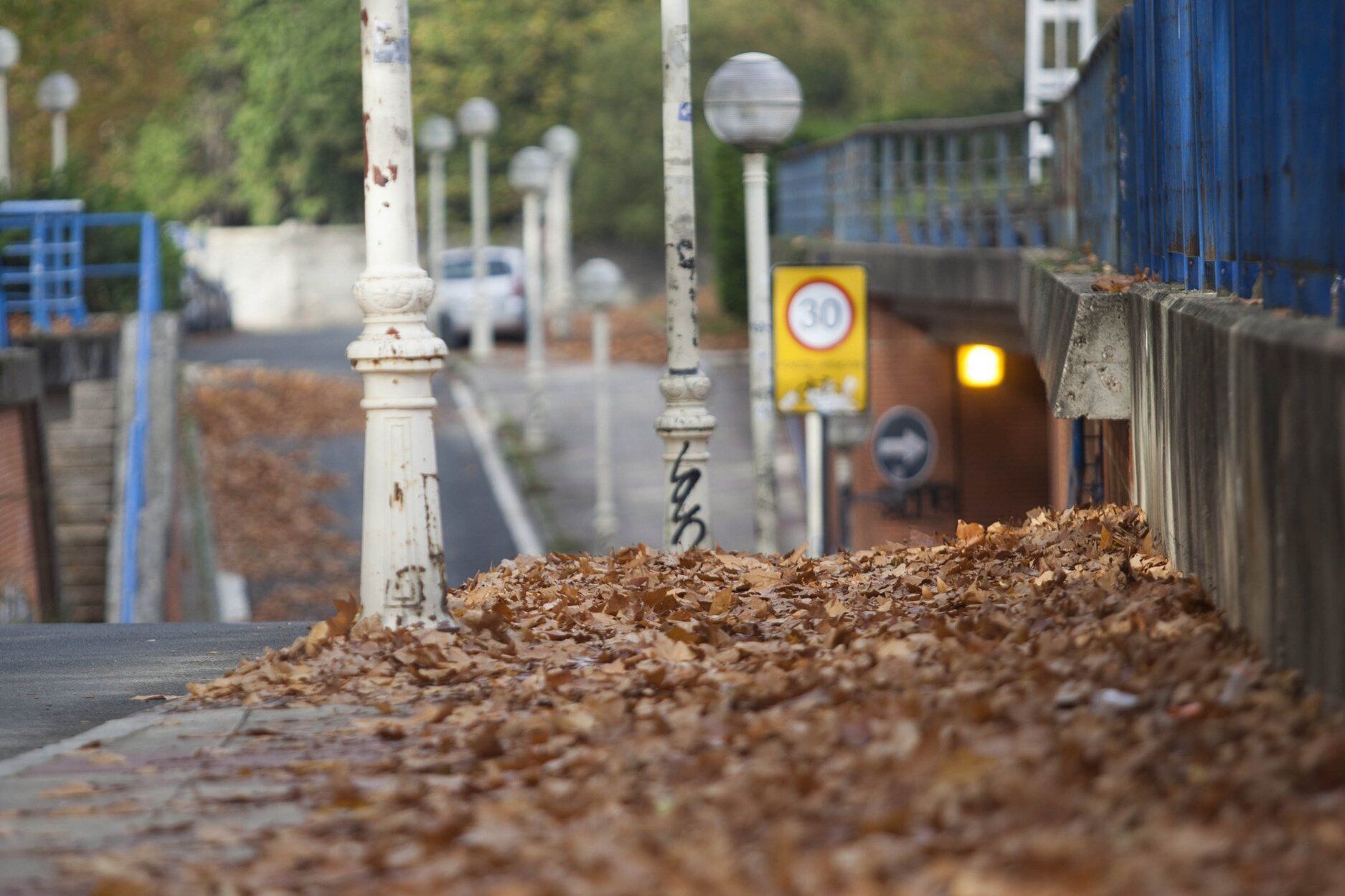 Hojas caídas en Vitoria