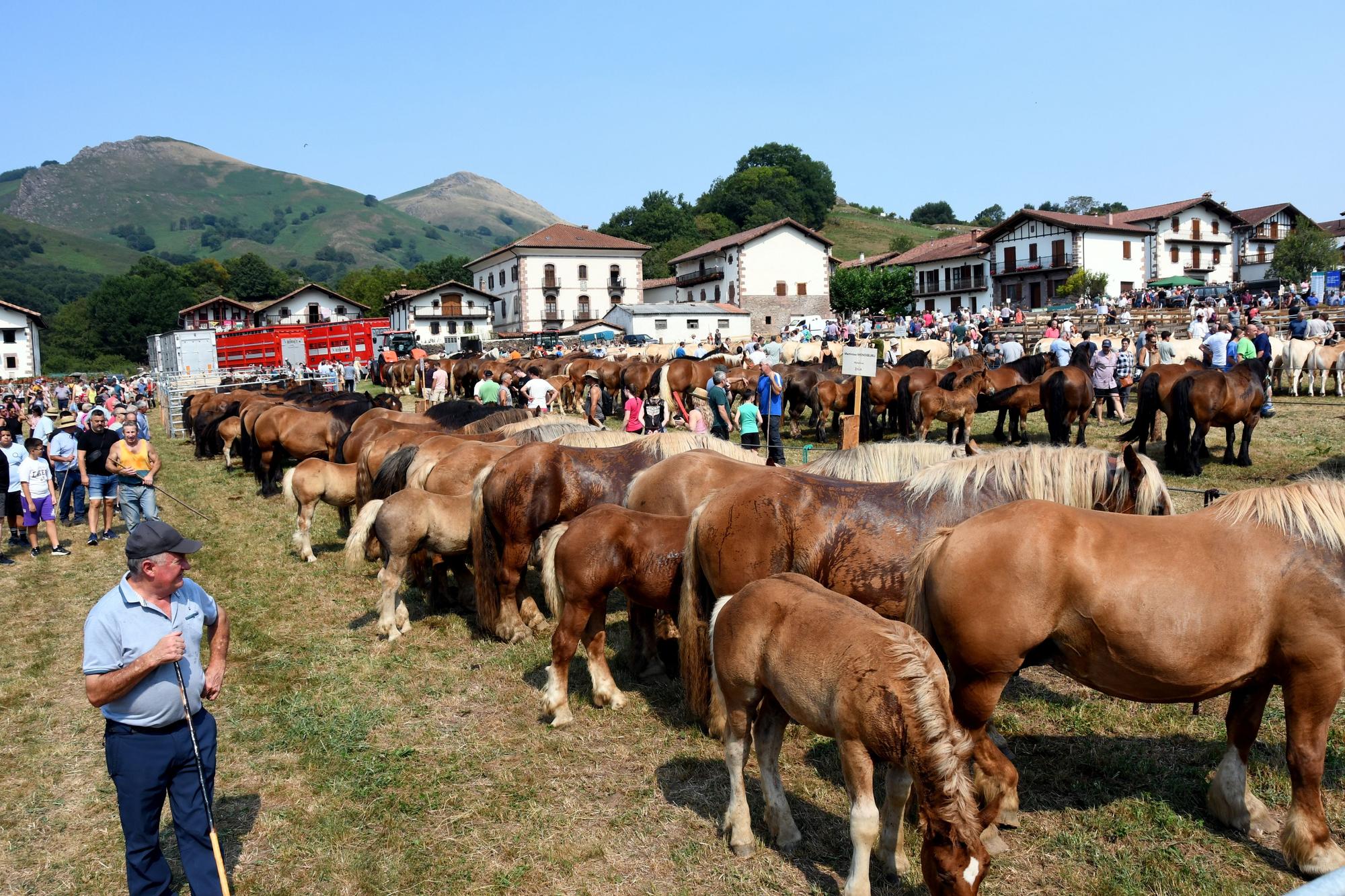 Artzai Eguna en Amaiur