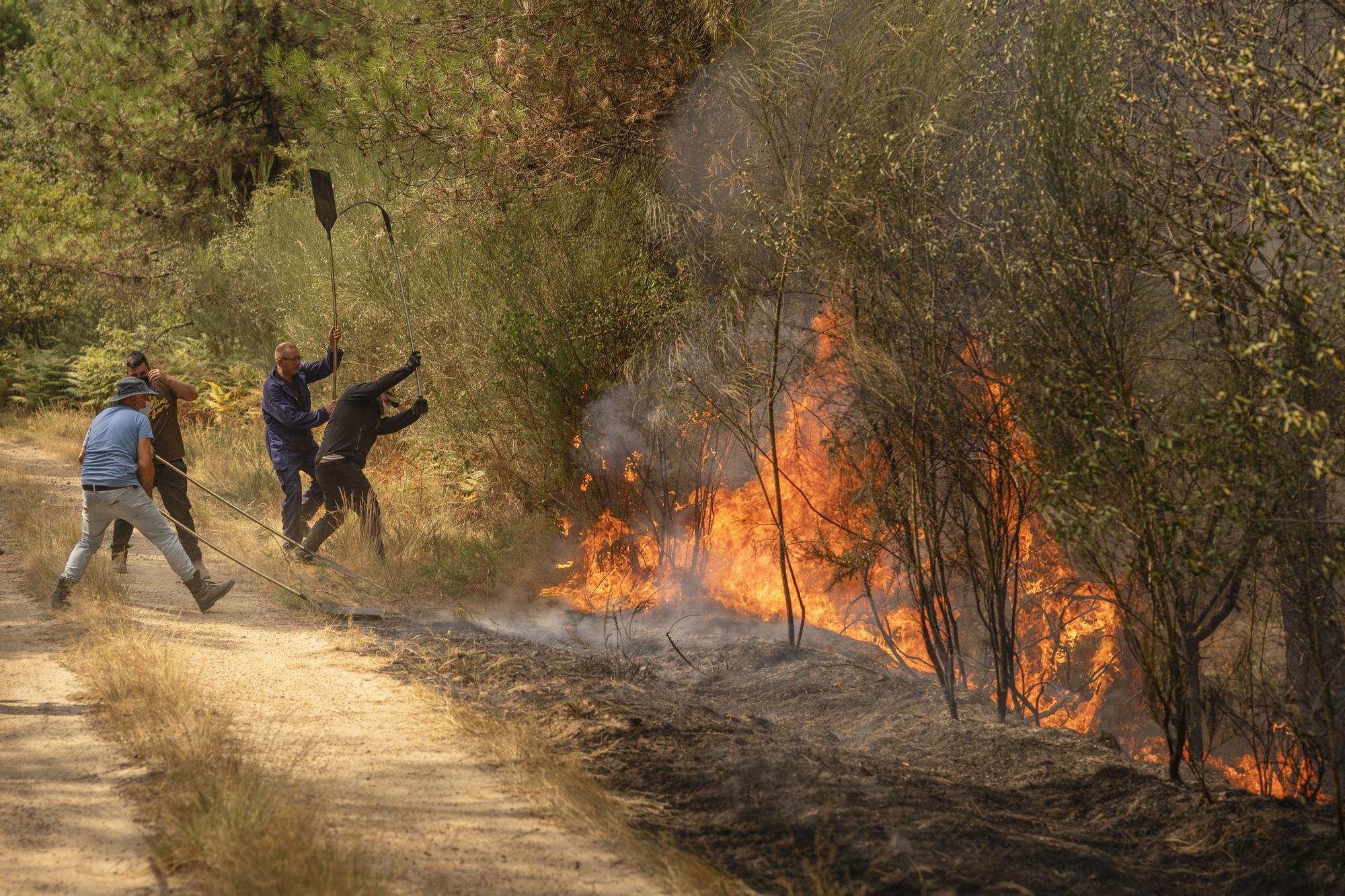 Semana negra de incendios: Cuatro muertos y 120.000 hectáreas quemadas