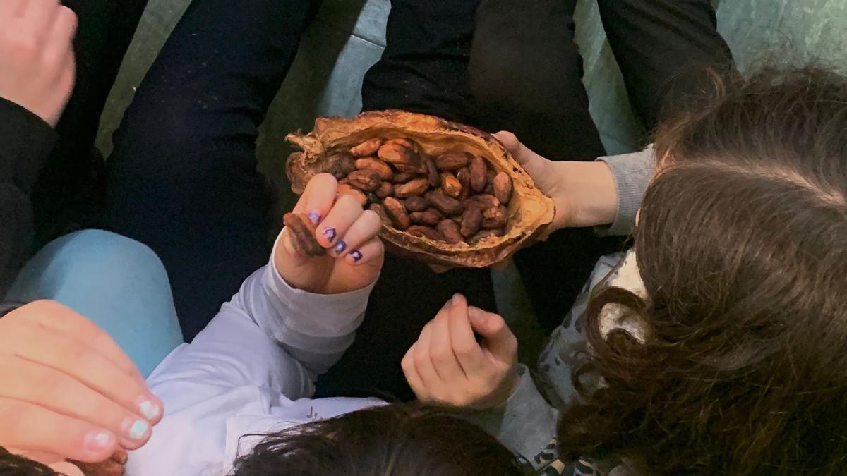 Imagen de archivo de una cata de chocolate