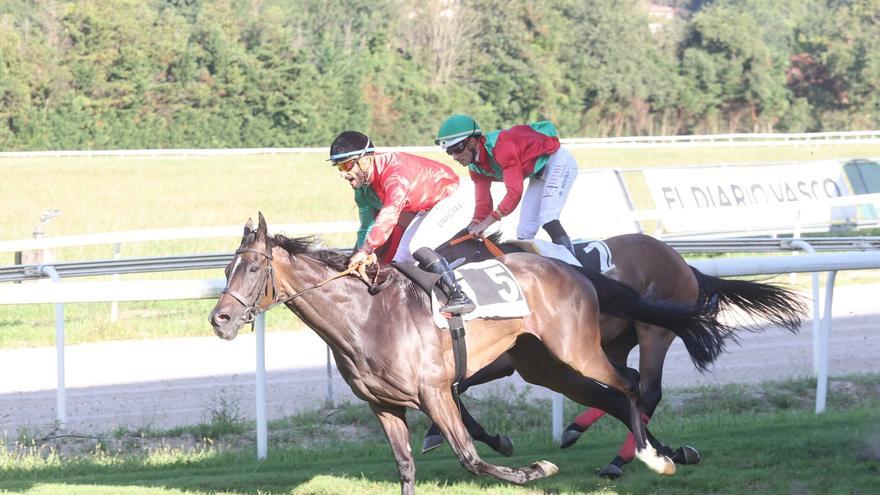 ¡Consigue entradas para las carreras de la Copa de Oro en el Hipódromo de Donostia!