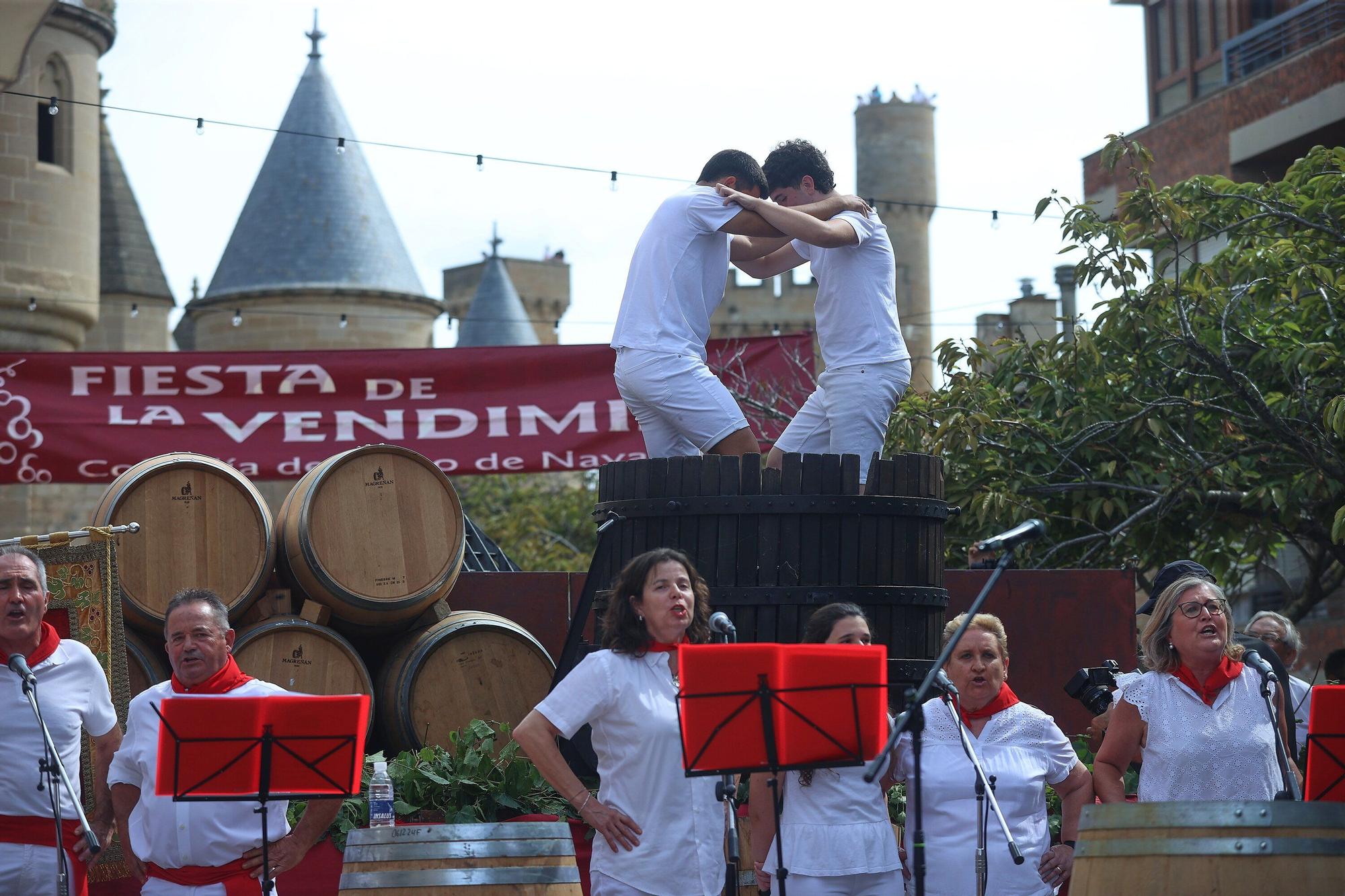 Fotos de la Fiesta de la Vendimia 2025 en Olite