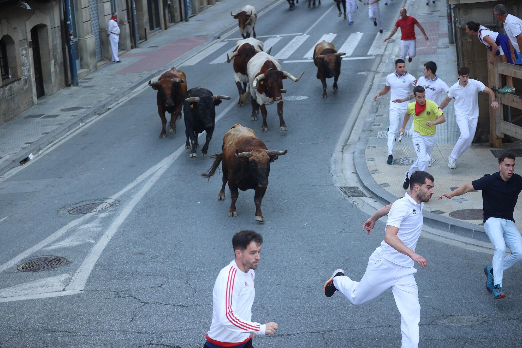 Fotos del quinto encierro de las fiestas de Tafalla 2025