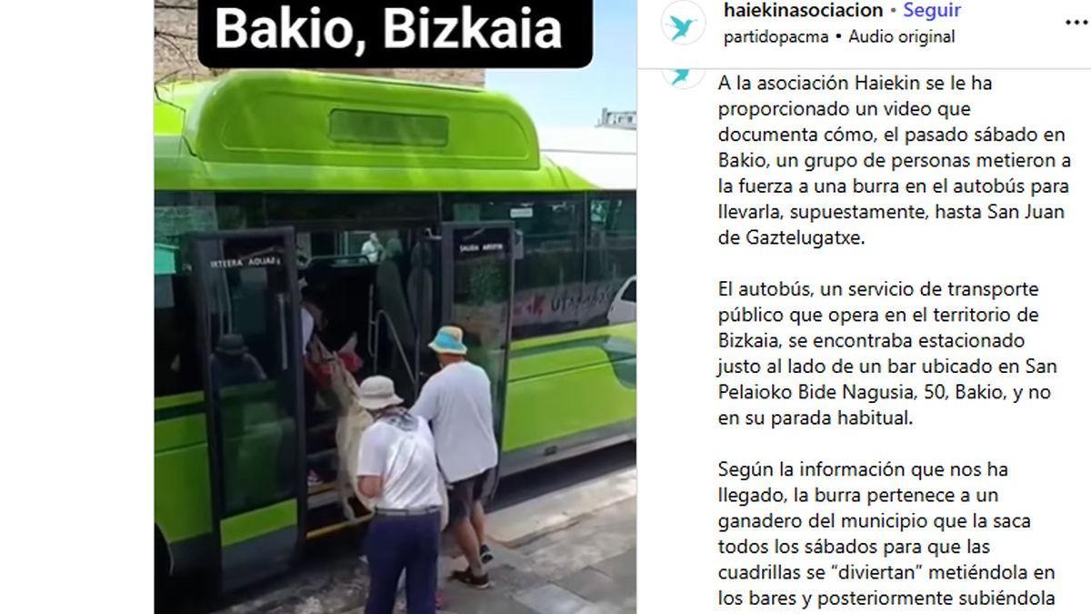 La asociación Haiekin ha denunciado los hechos