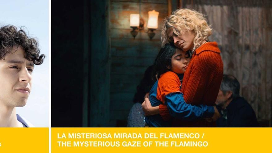 &#039;La misteriosa mirada del flamenco&#039; filmak irabazi du Gehituk ematen duen Sebastiane Latino saria