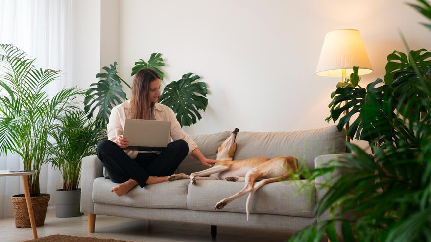 Adiós al frío: el chollo de Leroy Merlin que calienta tu casa y está a mitad de precio