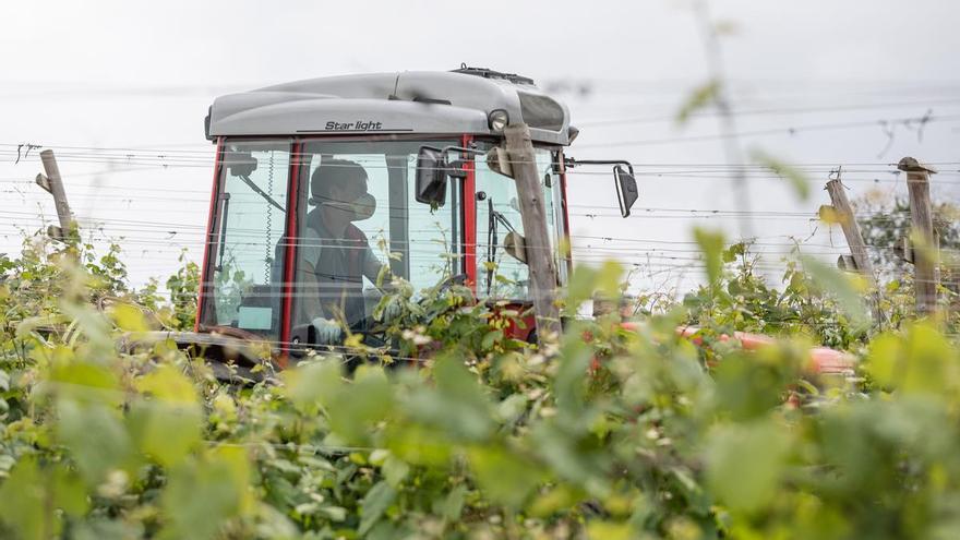 El Gobierno Vasco refuerza con 140 millones de euros la cadena agroalimentaria, forestal y pesquera de Euskadi