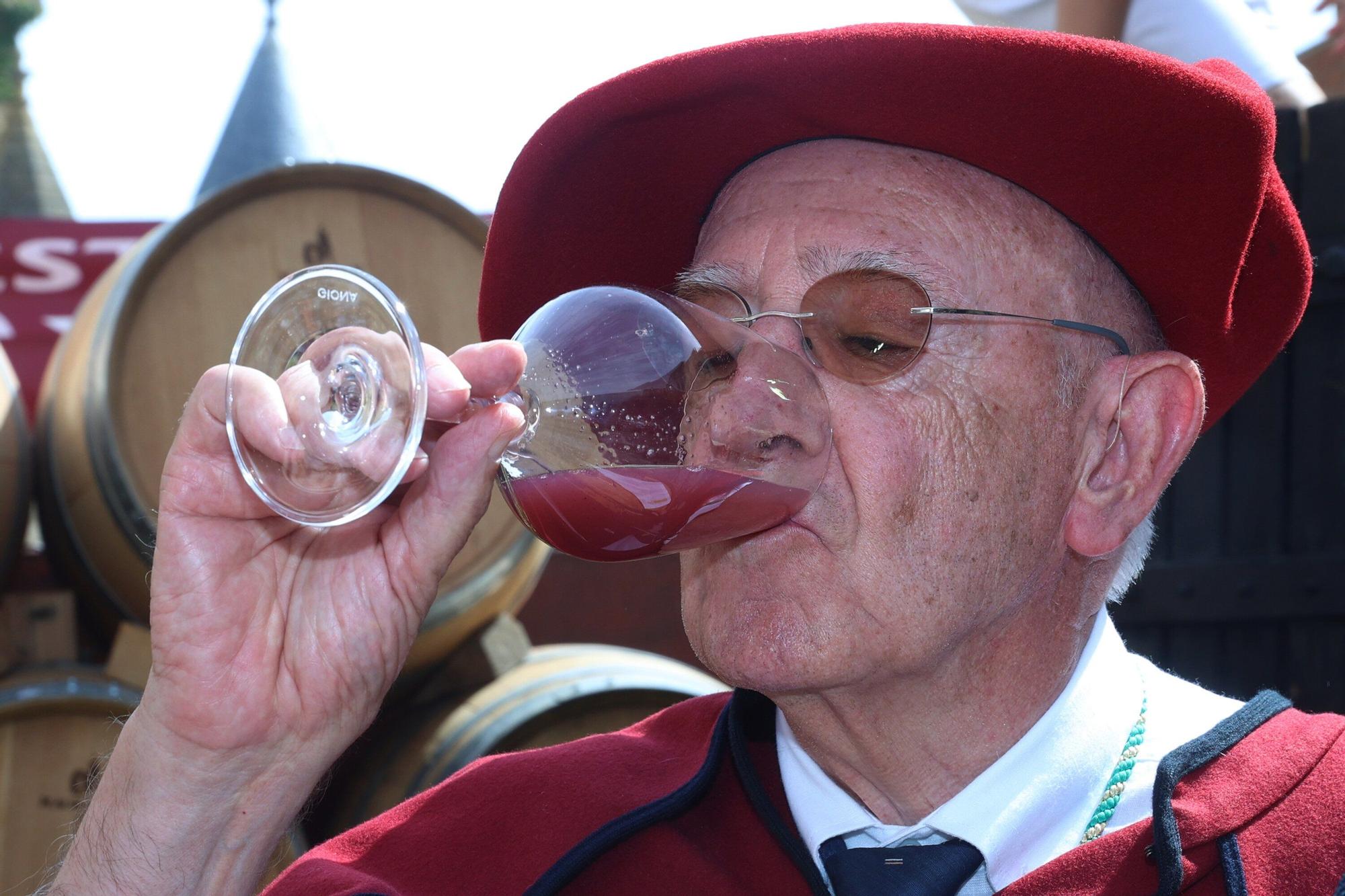 Fotos de la Fiesta de la Vendimia 2025 en Olite