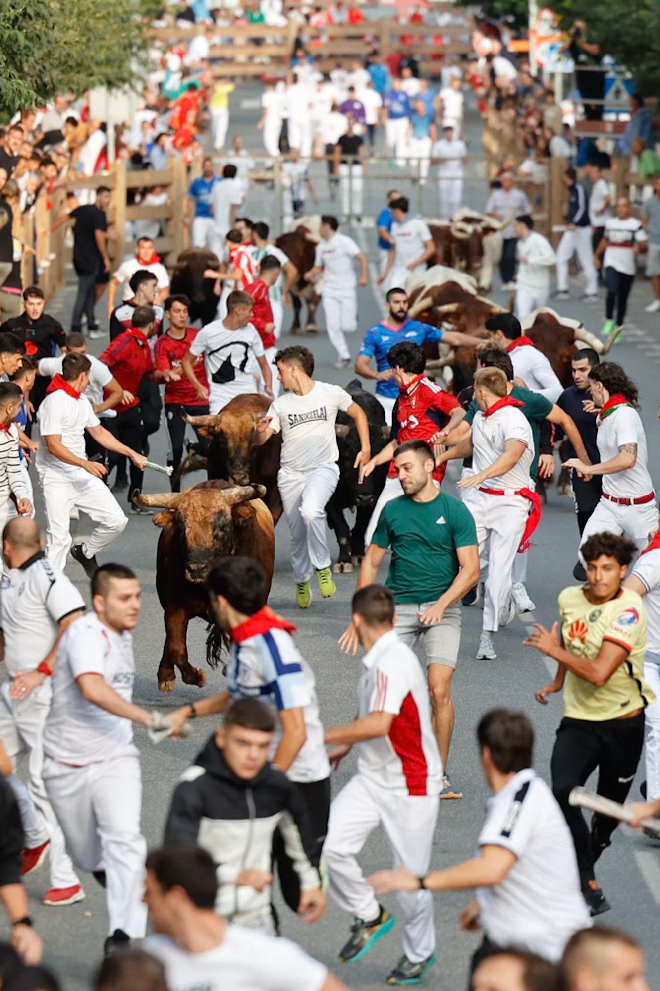 Fotos del quinto encierro de las fiestas de Tafalla 2025