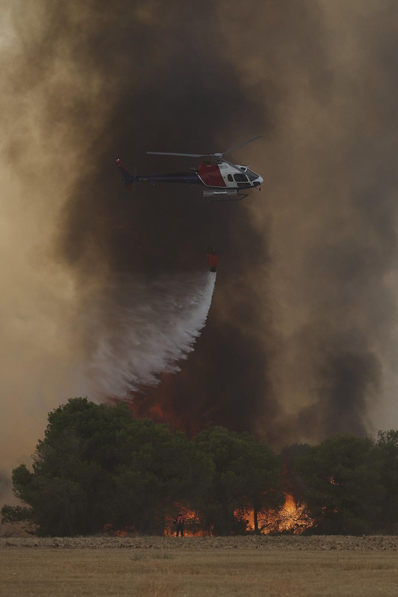 Fotos del incendio forestal cerca de Carcastillo