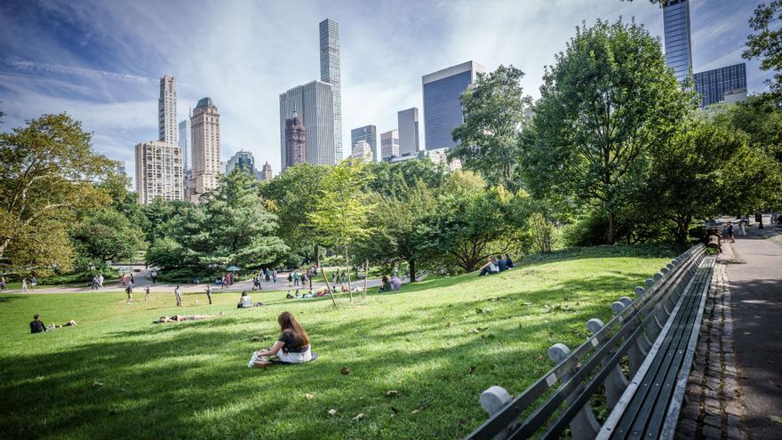 Nueva York reunirá a 50.000 personas en Central Pa