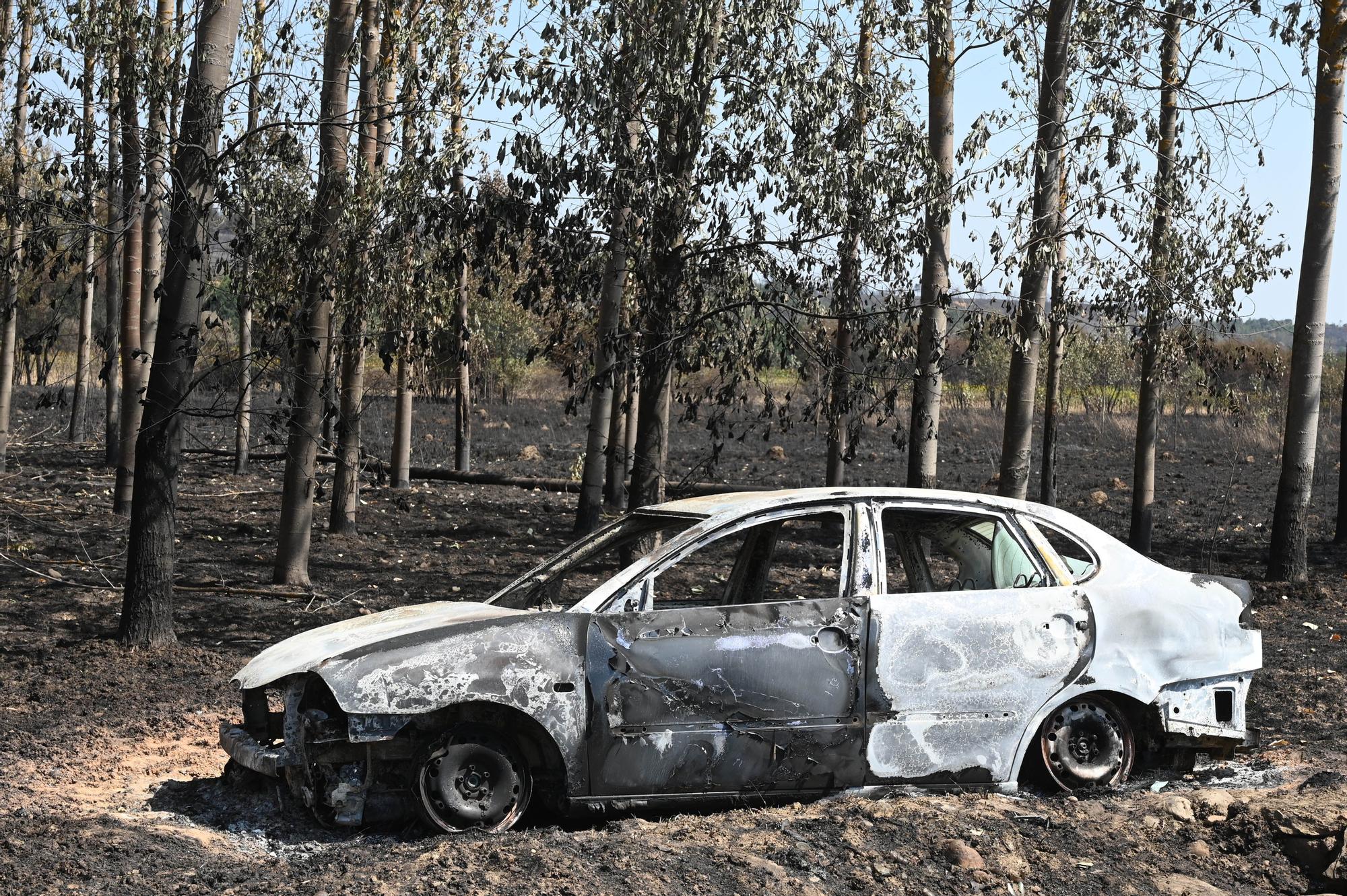 Semana negra de incendios: Cuatro muertos y 120.000 hectáreas quemadas