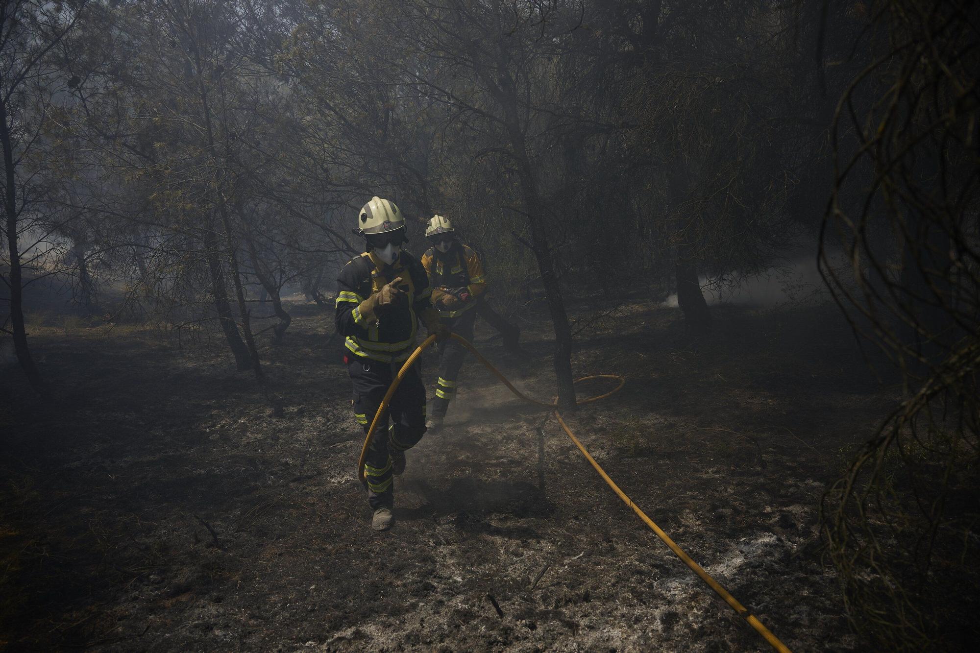Fotos del incendio forestal cerca de Carcastillo