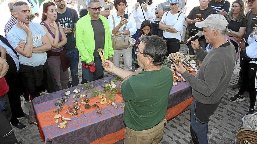 Los micólogos Víctor Huete y Patxi Pérez explican características de ejemplares recogidos.