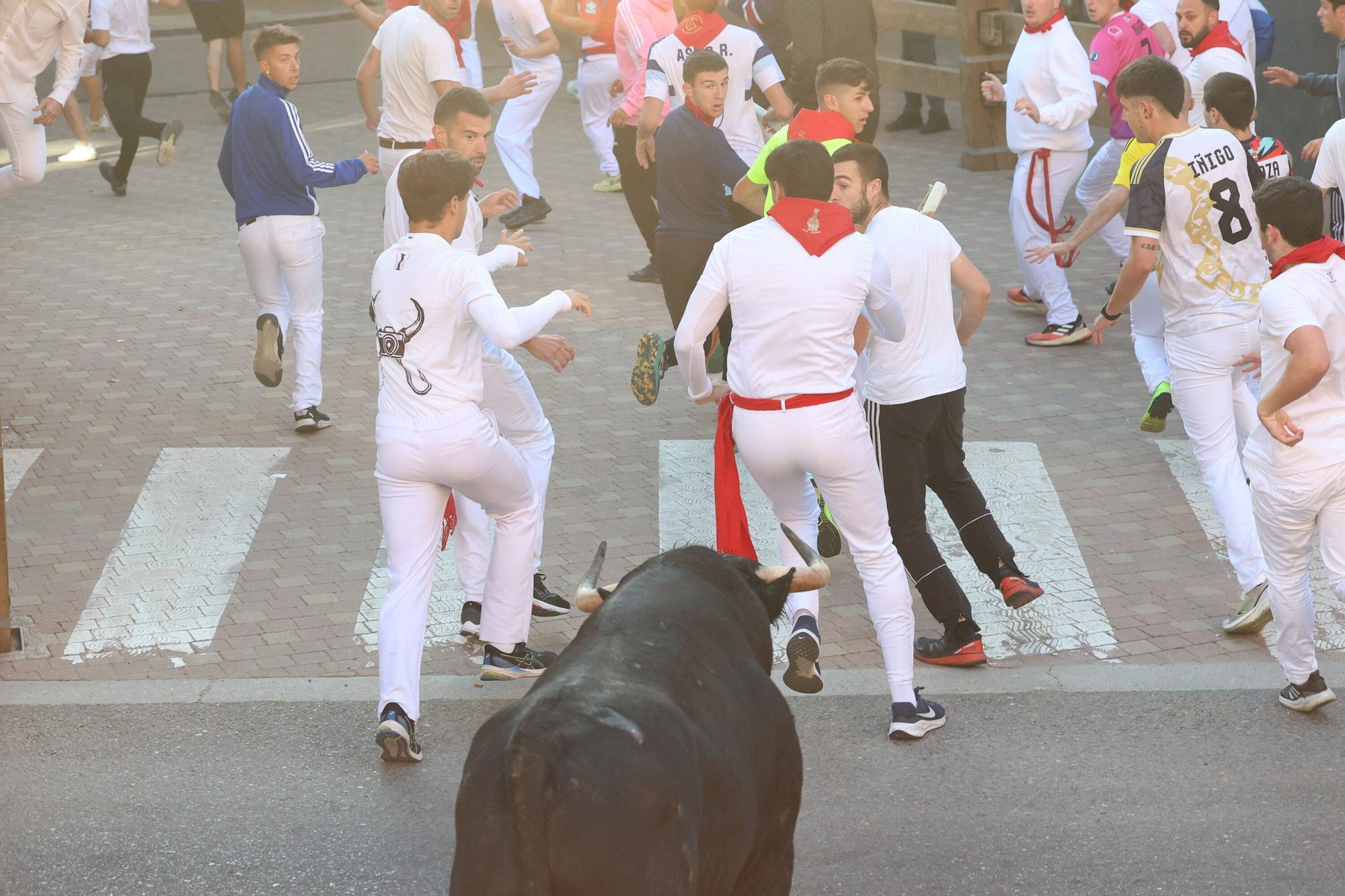 Fotos del quinto encierro de las fiestas de Tudela 2025