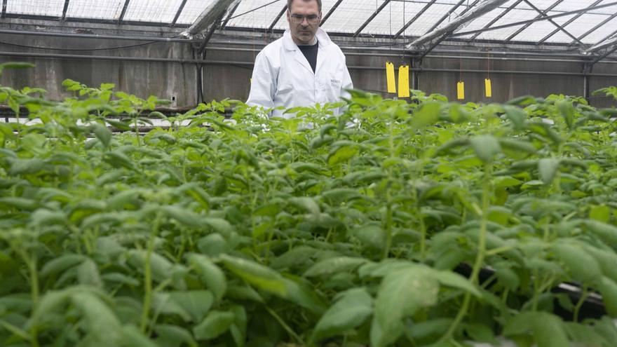 Arkaute conmemora 175 años impulsando un sector agrario más inteligente y resiliente